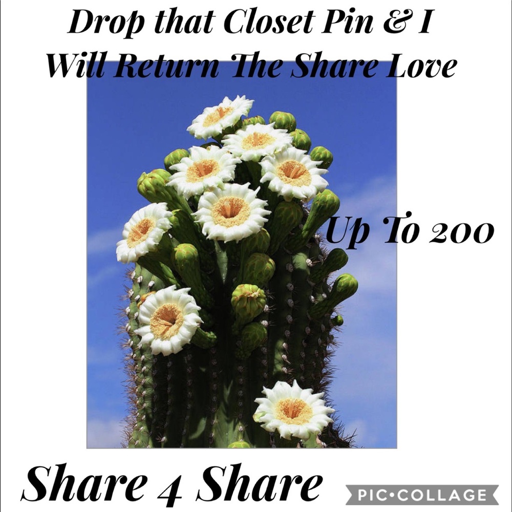🎍Share For Share🎍 Up To 200